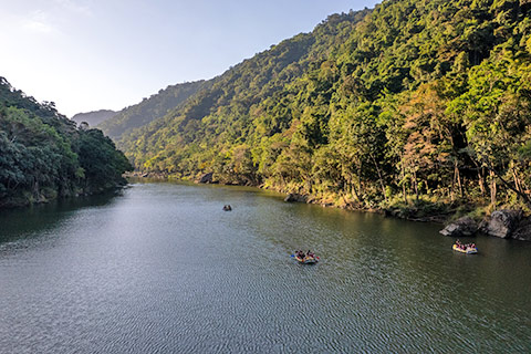 Overnight Daintree / Cape Tribulation Tour