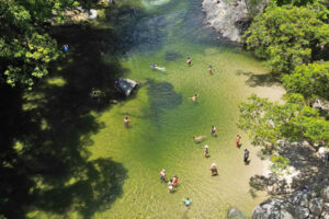Port Douglas Daintree Tours